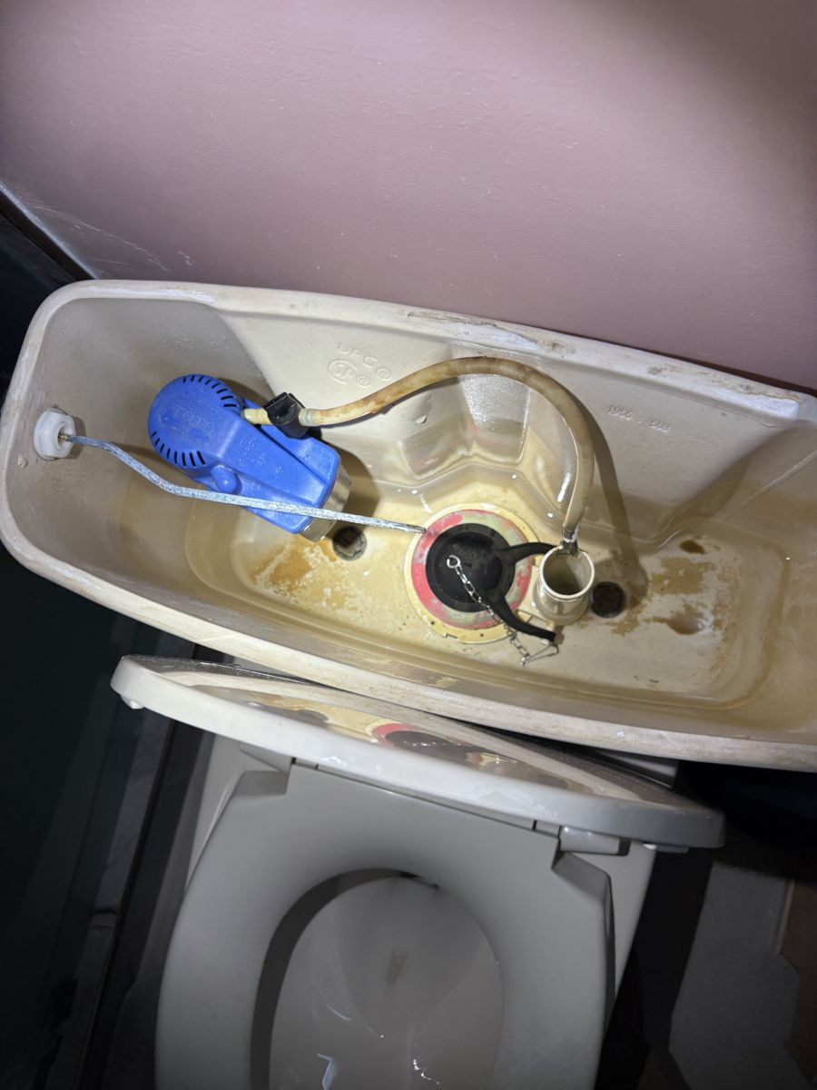 Inside an older toilet tank with a worn flapper and mineral buildup, before repair